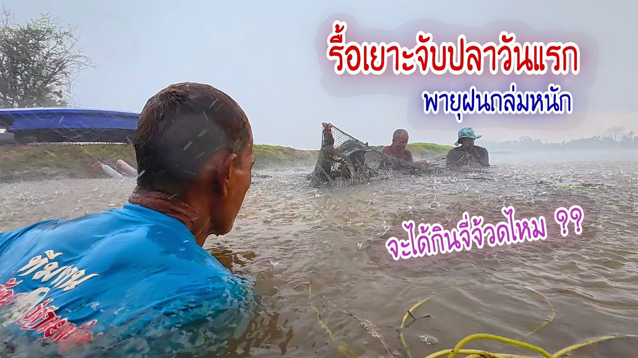 ไม่น่าเชื่อลงห้วยรื้อเยาะจับปลากินจี่จ้วดวันแรก ถึงกับพายุฝนถล่ม จะได้กินไหมเมนูโปรด