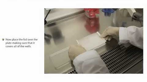 How to Process Samples and Measure ATP Bioluminescence for any HemoGenix/PCS Assay