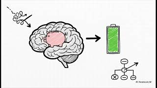 The Cognitive Miser: Managing Mental Overload and Decision Traps