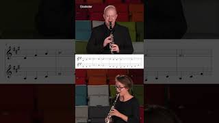 Gladiator / Duo de Clarinette (Shorts) #clarinet #music #tobrassmusic