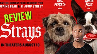 Unexpected twists and hidden gems in Strays Movie
