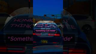 Honk If You Think I’m Cute @santi.s._