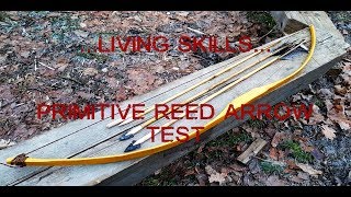 Primitive-Arrow-Test - Arrows from Reed shot with Osage Orange Shortbow