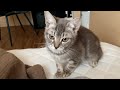 あれ、この生活ニート時代の俺じゃね?