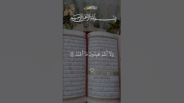 سورة الكافرون #سورة_الكافرون #القرآن_الكريم #قرآن