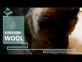 How to use eurasier fur for felting