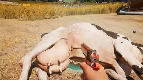 Far Cry 5 - Close Encounters Quest is Bugged!  (not a tutorial)