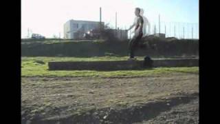 Ivo 2010 sampler