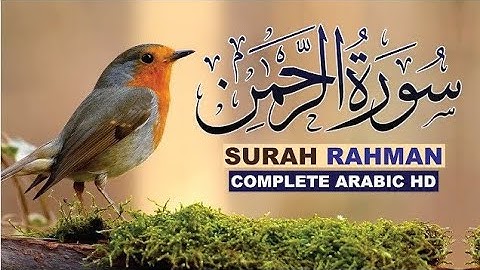 Surah Ar-Rahman سورة الرحمن | This Relaxing Voice Will TOUCH Your Heart إن شاء الله |Hajra TV