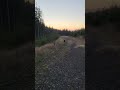 Big Ass Porcupine !!!!!