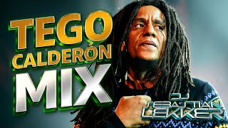 Tego Calderon Mix (HD) 2017 - Dj Sebastian Lekker