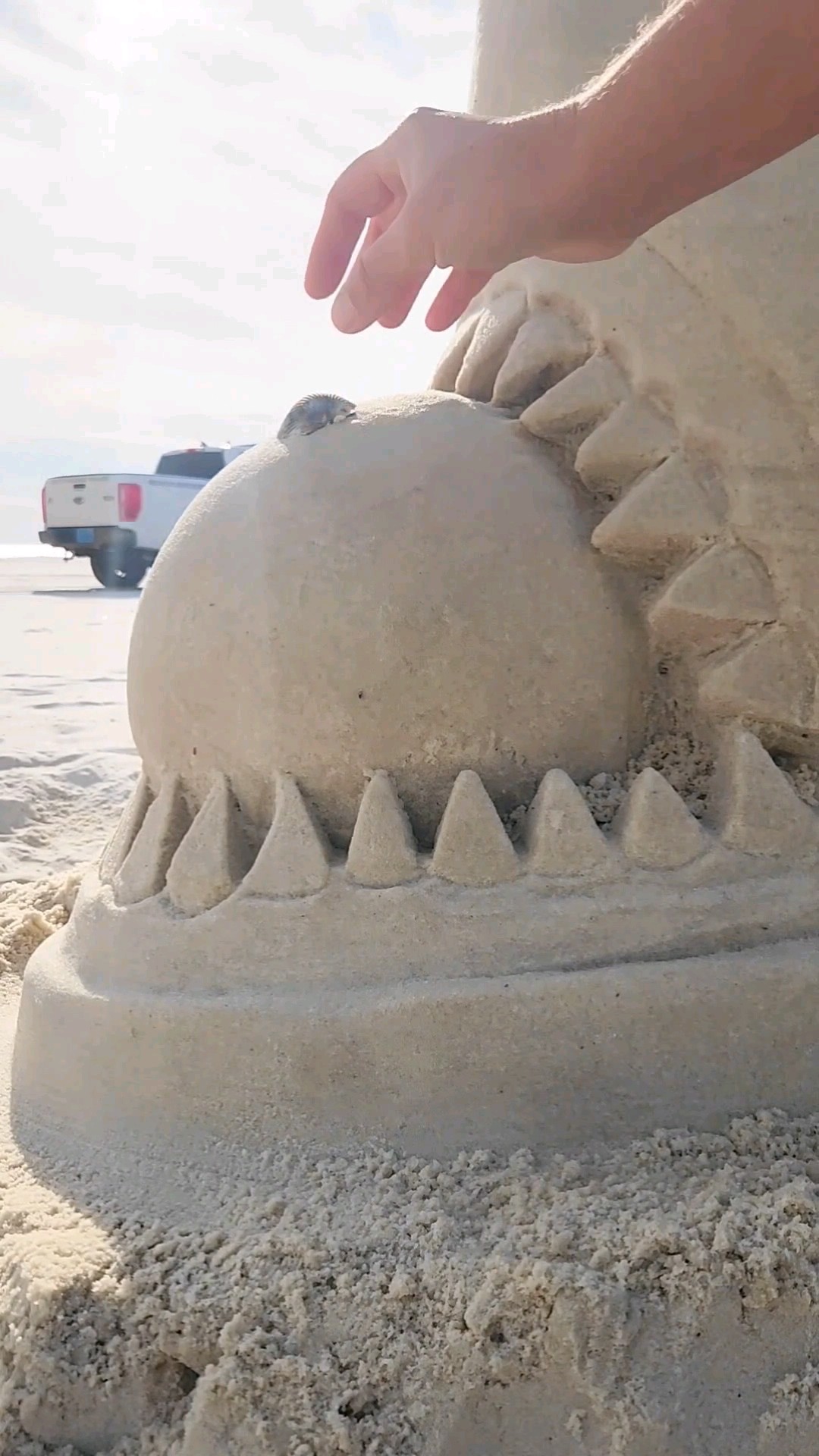 Top 5 Impressive Sand Castles