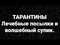 Семья Тарантиных/Обзор.