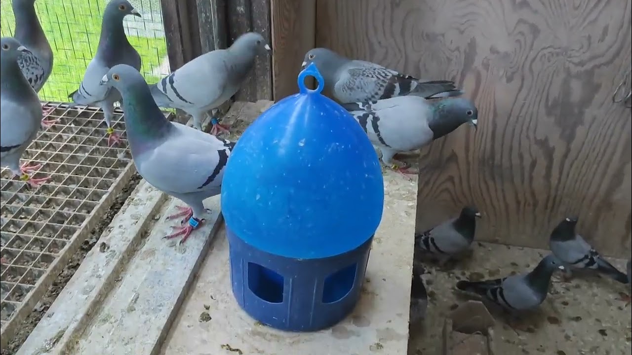 Mega Start in die Jungtiersaison / Fantastic start with the youngsters!!