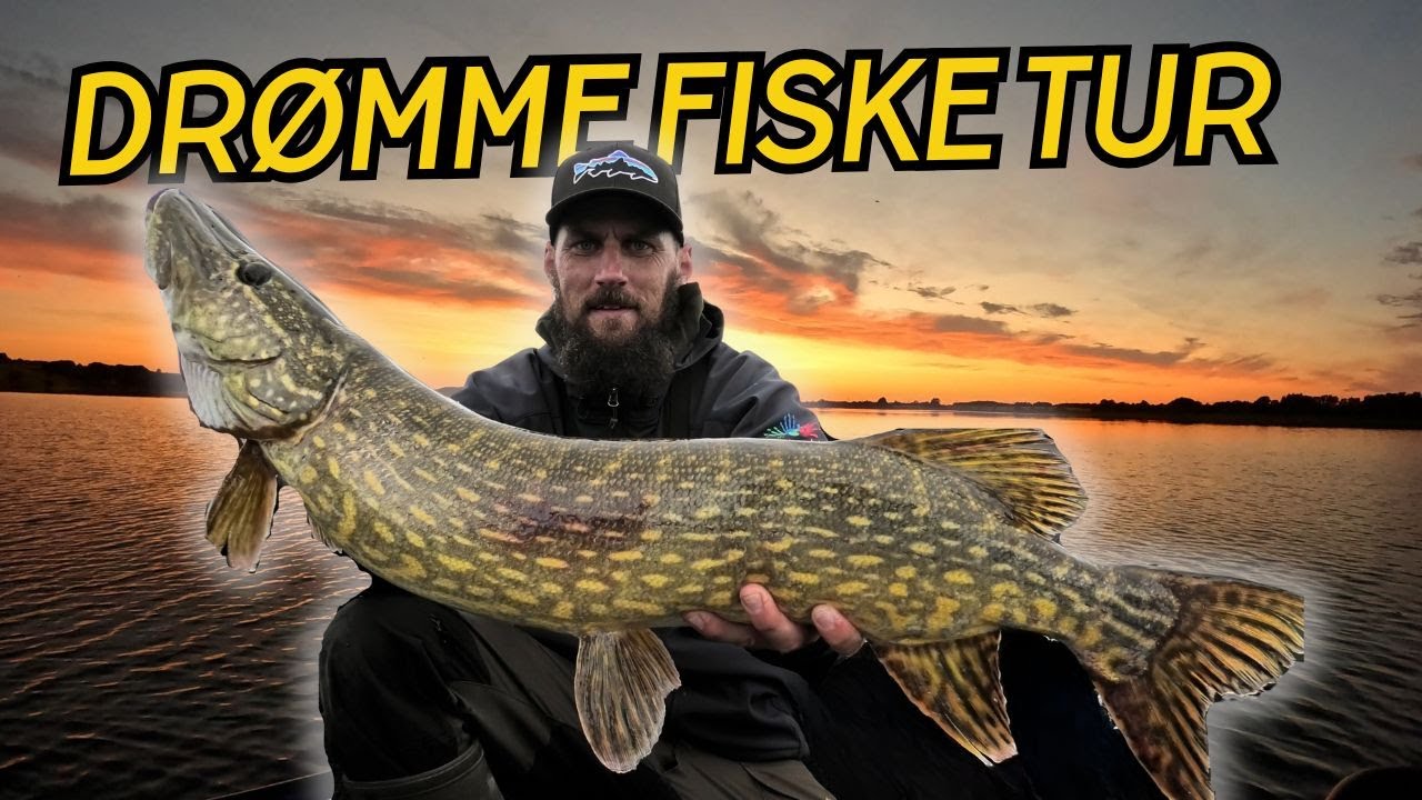 SANDART FISKERI MED LIVE SONAR + GLUBSKE GEDDER // NATURNØRD 683