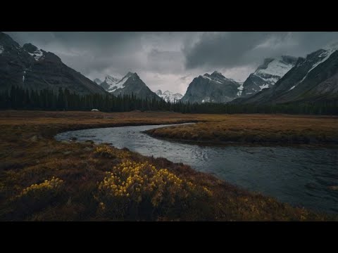 تلاوة قرأنية هادئة خالية من الصدى والمؤثرات سورة الملك القارئ عمر مكاوي