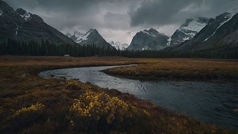 تلاوة قرأنية هادئة خالية من الصدى والمؤثرات [سورة الملك | القارئ عمر مكاوي]