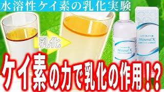 水溶性ケイ素の乳化実験（水とごま油）│ミネラルケイ素 Mineral.K