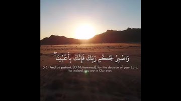 القارئ رعد الكردي /سورة الطور