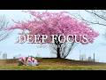 Deep Concentration Music – 12 Hours of Ambient Sounds for Study, Focus & Mental Clarity #2