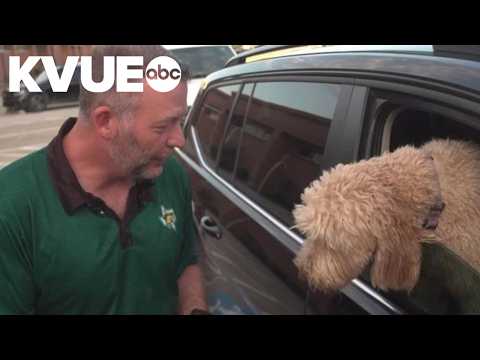 North Texas principal gives treats to dogs in drop-off line