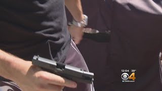 Lawmakers Debate Conceal Carry Laws