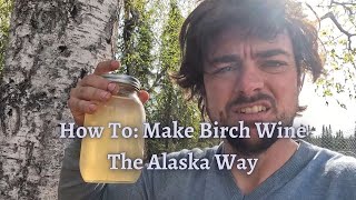 How To Make Birch Wine | Tapping Birch Trees In Alaska