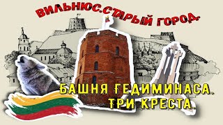 Вильнюс. Литва. Башня Гедиминаса и гора трёх крестов.