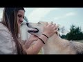 2022 OK Humane Hero - Koda