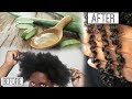 USING FRESH ALOE VERA ON MY TYPE 4 HAIR!