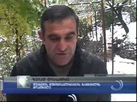 სტიქია შუახევსა და ქედაში