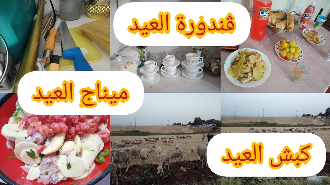تحضيرات عيد الاضحى المبارك 🐏🐏 روتين متنوع و تحفيزي تنضيف كباش العيد🐏🐏ڨندورتي تاع العيد