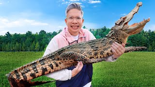 GENDONG BUAYA DI TAMAN REPTIL PERTAMA KALI!!