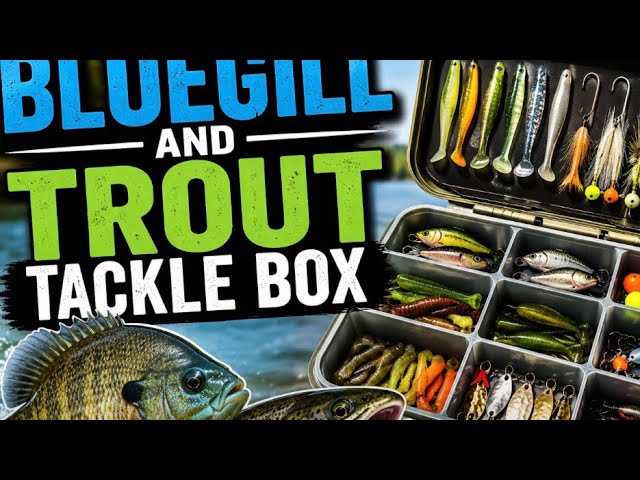 shimano 20 40 tld star drag reel Lever TLD15 And let the fish EGO Kryptek Tackle Box Photo frame St Croix Rod Model:SEIC69M
