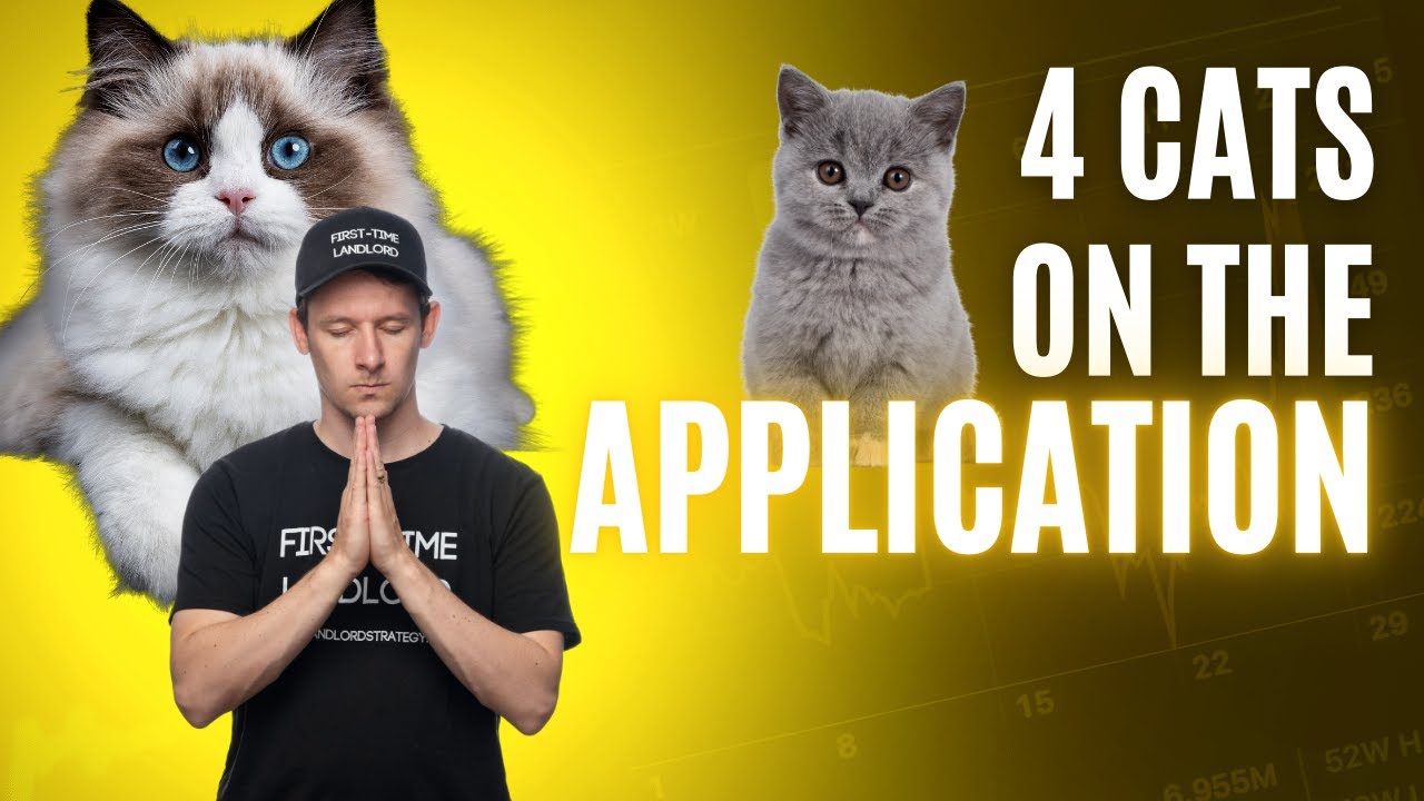Cat Rentals App FOUR Cats on a Rental Application #landlordtips #propertymanagement # ...