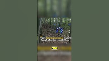 Autonomous Drone Swarms: The Future of Coordinated Warfare