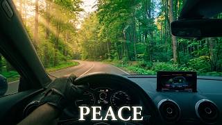 Silent Mountain Drive — Audi A3 e-tron POV (Forest Road, No Engine Noise)