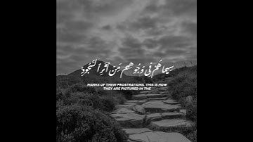 ( مُحَمَّدٌ رَسُولُ اللَّهِ ♥️ )  اكتب شيئ تؤجر عليه 🤍 #ياسر_الدوسري🤍 #سورة_الفتح🤍 #القرآن_الكريم🤍 🤍