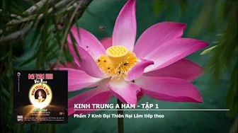 Tập 1 – Phẩm 7 K.Đại Thiên Nại Lâm tiếp theo 