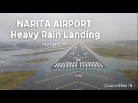 Heavy Rain Landing