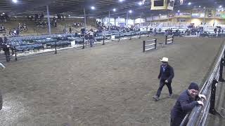Topeka Livestock Auction Live Stream