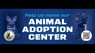 Name The Shelter