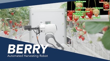 BERRY - Automated Strawberry Harvesting Robot