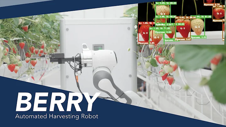 BERRY - Automated Strawberry Harvesting Robot
