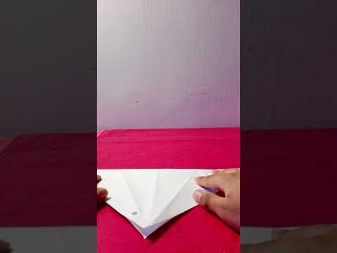 Video: Wie Man Einen Papagei Aus Papier Macht