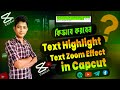 Highlights & Zoom Effects in Capcut।। ক্যাপকাট দিয়ে কিভাবে টেক্স হাইলাটস ও জুম ইফেক্ট তৈরি করবেন।