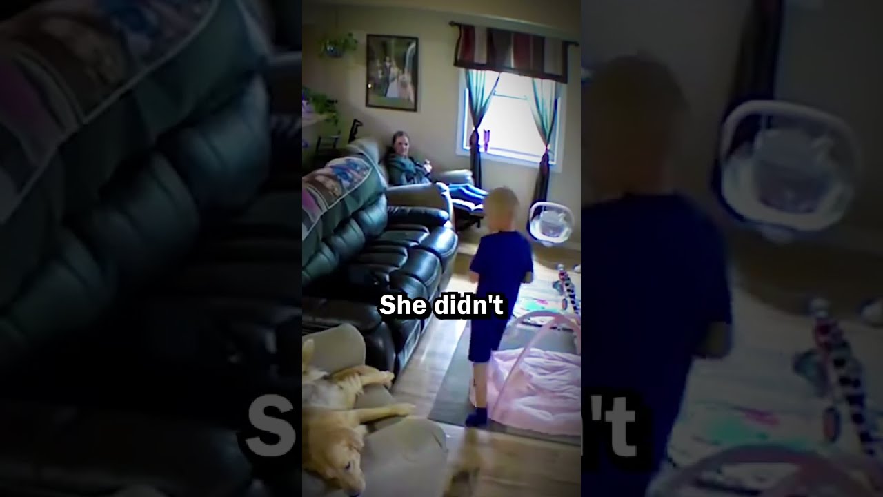 Dog Saves A Boy From Furious Cat Shorts Shortsviral Dogs