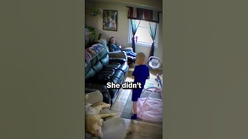 Thumbnail of Dog saves a boy from a furious cat #shorts #shortsviral #dogs