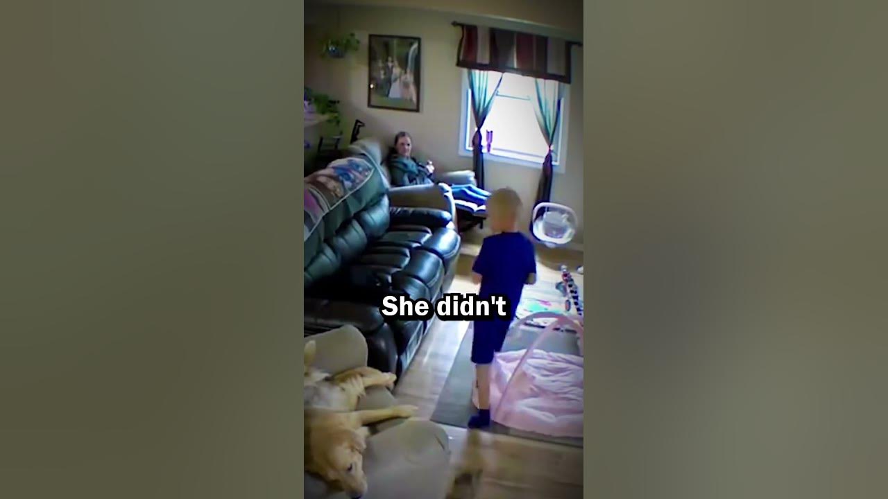 Dog saves a boy from a furious cat #shorts #shortsviral #dogs
