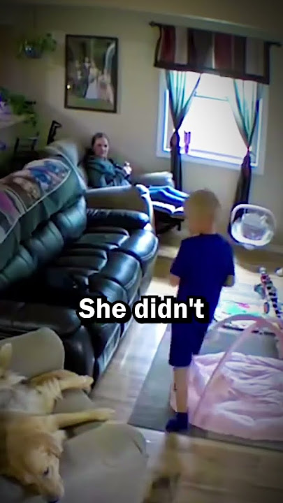 Dog saves a boy from a furious cat #shorts #shortsviral #dogs